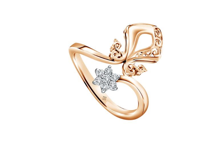 Cincin Nusantara Anta Aster.