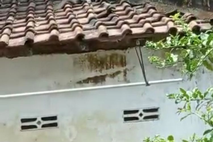 Tangkapan layar video amatir monyet yang berkeliaran di lingkungan Kelurahan Sukorame, Kecamatan Mojoroto, Kota Kediri, Jawa Timur.