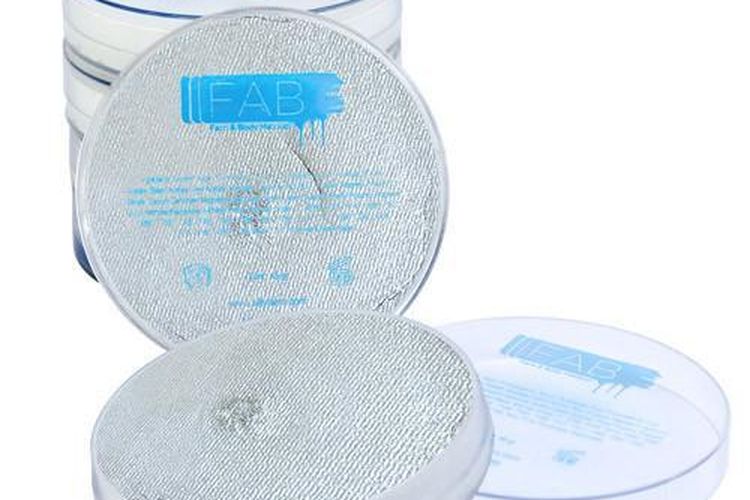  FAB Face Paint untuk tampilan makeup seperti manusia silver.