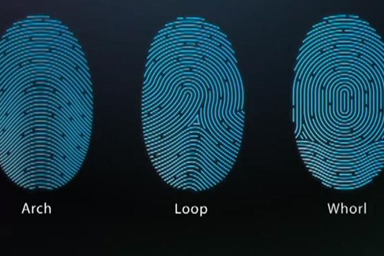 Contoh pola sidik jari yang dikenali Touch ID