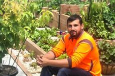 Pria Australia Tumbuhkan Lima Spesies Buah Berbeda dalam Satu Pohon