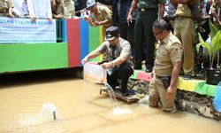 Ternak Ikan Jadi Cara Bersihkan Selokan dari Sampah Kota Semarang
