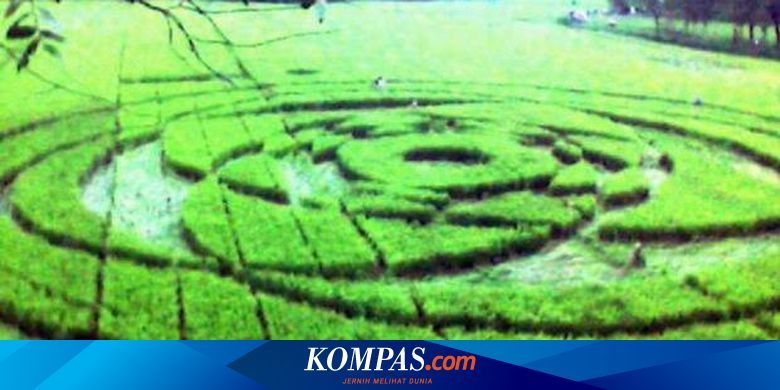 Ada Jejak Ufo Di Yogya