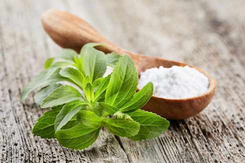 Stevia Bahan Pengganti Gula Nol Kalori, Simak Rasio Pakainya 