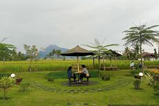 5 Kafe di Yogyakarta dengan View Bagus