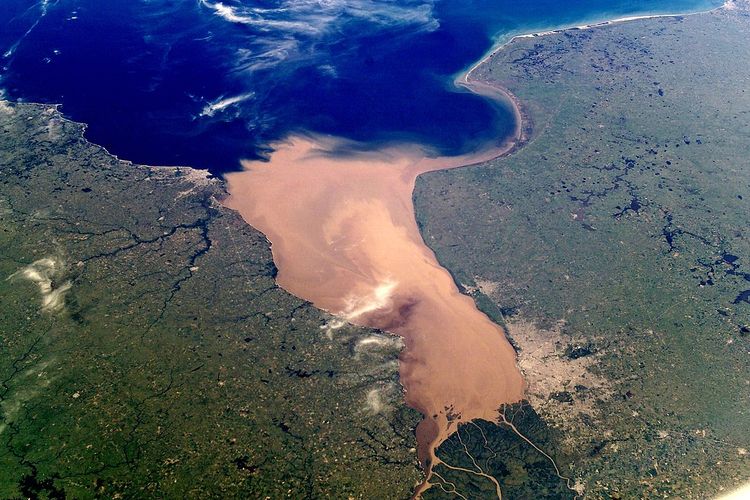 Contoh estuaria yang terletak di perbatasan Uruguay dan Argentina