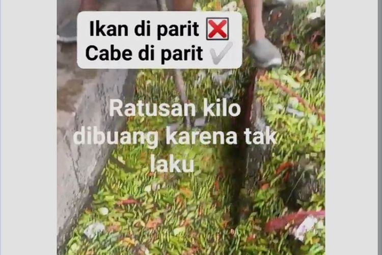 Tangkapan layar video unggahan di Facebook Naslim Tembung memperlihatkan aktifitas petugas kebersihan mengangkat cabai rawit yang dibuang ke Parit Karena harga anjlok. Video itu diunggah pada 29 April 2023 dan viral di media sosial.