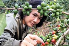 BNI Jejak Kopi Khatulistiwa Dukung Kopi Garut Swasembada Pangan dan Go Global