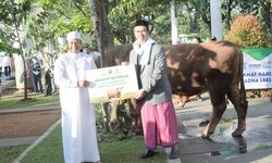 Pemprov Jabar Berharap Bantuan Sapi Seberat 1 Ton Diterima Masyarakat yang Berhak