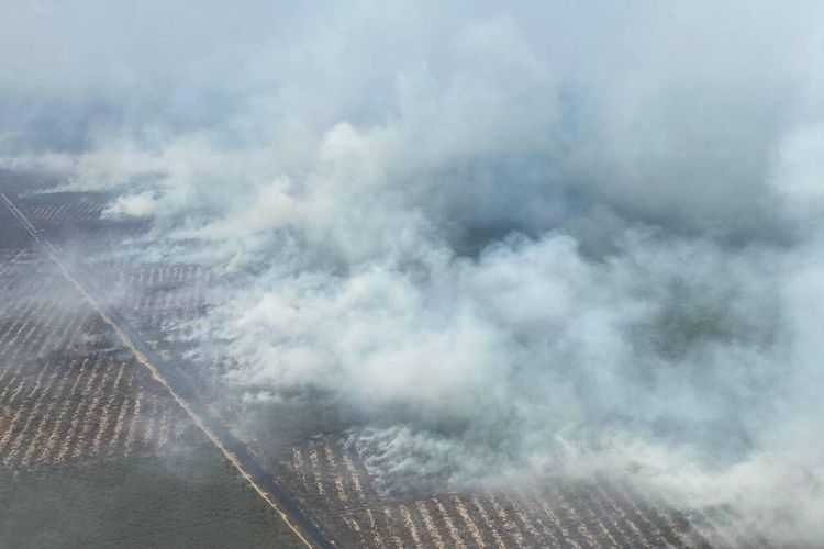Kondisi kebakaran hutan yang berlangsung di Kabupaten OKI, Sumatera Selatan.