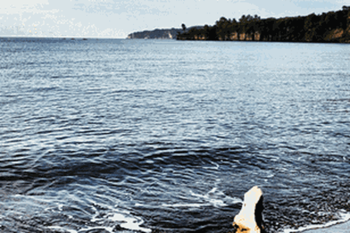 Pantai Lakban ini berada di Ratatotok, Minahasa Tenggara, Sulawesi Utara. Saat yang paling tepat untuk menikmati pantai ini saat pagi hari. 