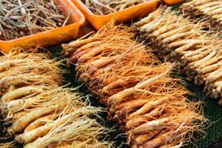 Ginseng Merah Korea, Harganya Sebanding Khasiatnya