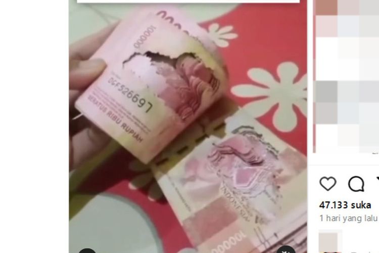 Tangkapan layar video menampilkan tumpukan uang pecahan Rp 100.000 bolong di bagian tengahnya, viral di media sosial.