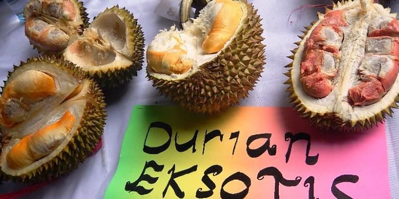 Durian berwarna merah dengan rasa legit manis dan gurih dari Banyuwangi, Jawa Timur.