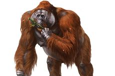 7 Fakta Gigantopithecus, Kera Terbesar yang Pernah Hidup di Bumi 