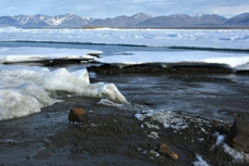 Peneliti Temukan Pulau Paling Utara di Dunia, Ada di Ujung Greenland