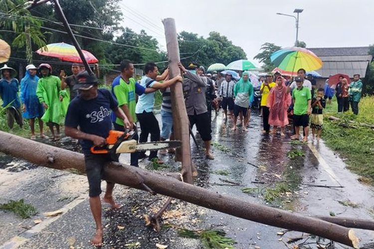 Tim Sar gabungan mengevakuasi pohon tumbang di jalan, di Kabupaten Situbondo, Selasa (11/1/2022). Dok Humas Polres Situbondo 