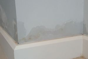 Dosen UGM Beri Cara Mengatasi Tembok Lembap Saat Musim Hujan