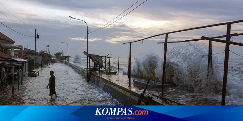 Banjir Rob di Pekalongan Rendam Dua Kecamatan, Ribuan Warga Terdampak