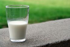 Kandungan Nutrisi dalam Susu Kambing