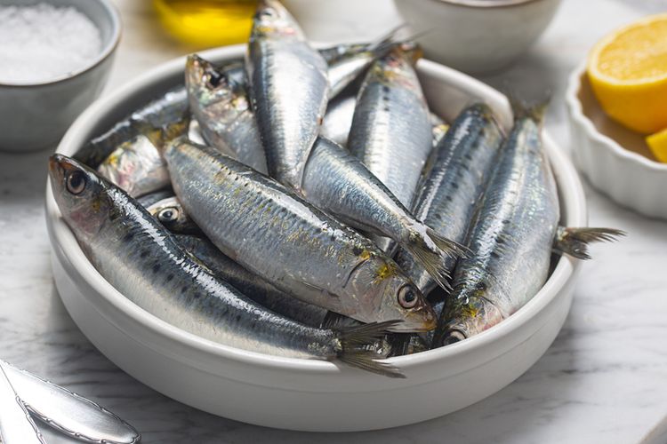 Ikan sarden, salah satu jenis ikan yang baik untuk penderita kolesterol tinggi.