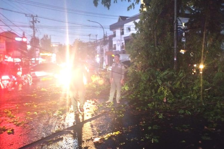 Petugas dari Satpol PP dan BPBD Kota Makassar melakukan evakuasi pohon tumbang yang menimpa kendaraan warga di bilangan Jalan Karunrung, Kecamatan Ujung Pandang, Kota Makassar, Sulsel, Kamis (23/11/2023) petang.