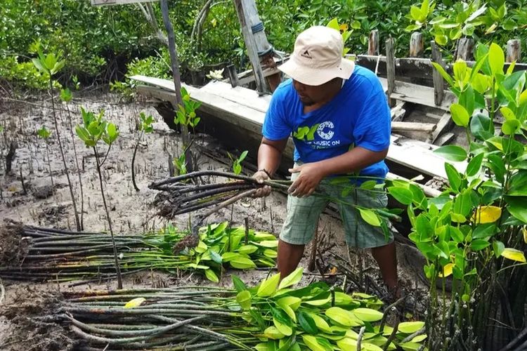 Kegiatan lingkungan, penelitian, di kampung wisata Desa Pengudang, Kabupaten Bintan.