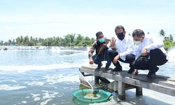 Menteri Trenggono: Tambak Udang Kementerian KP di Aceh Timur Ciptakan Multiplier Effect