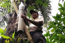 Hutan Tetap Lestari di Tangan Masyarakat Padang Cermin