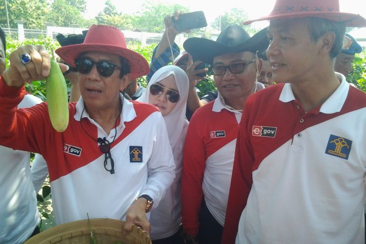 Menteri Hukum dan HAM Yasonna H Laoly (kiri) dan Gubernur Jawa Tengah Ganjar Pranowo (kanan) saat memanen hasil kebun di Lapas Produktif Kendal, Jawa Tengah, Sabtu (29/4/2017).