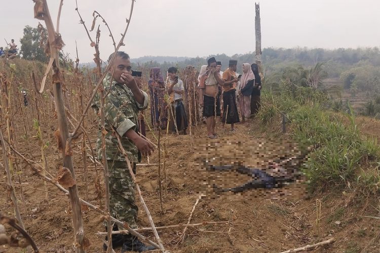 Petani Temukan Mayat Membusuk di Pamekasan, Diperkirakan Meninggal Sebulan Lalu