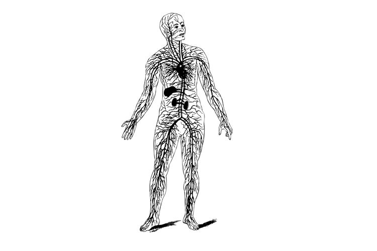 Ilustrasi badan manusia