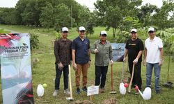 Kurangi Emisi Karbon, Jasa Raharja Gandeng TDM Tanam 1.000 Pohon di Lampung