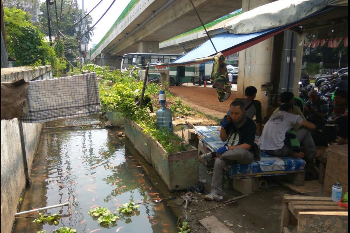 Selokan yang dimanfaatkan untuk pelihara ikan oleh komunitas ojek online Anak Pohon di kawasan Tendean, Jakarta Selatan.