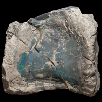 Sebongkah batu opal membungkus fosil dinosaurus.