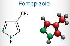 Digunakan untuk Gagal Ginjal Akut pada Anak, Fomepizole Obat Apa?