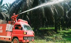 Musim Mas Beri Insentif Rp 25 Juta Bagi Desa Bebas Api di Riau