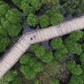Mangrove Wonorejo Surabaya: Harga Tiket, Jam Buka, dan Aktivitas