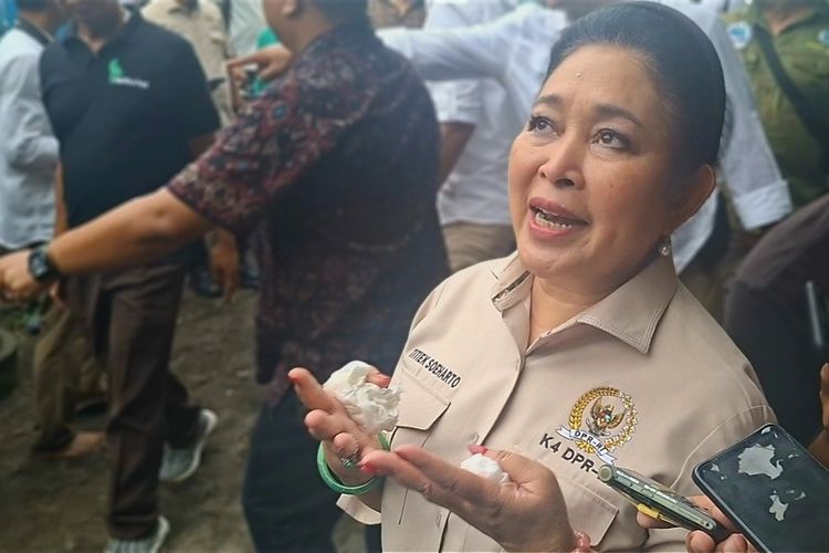 Ketua Komisi IV DPR RI Siti Hediati Soeharto alias Titiek Soeharto usai mengikuti kegiatan pelepasan tukik di Pantai Saba, Kabupaten Gianyar, Provinsi Bali, pada Senin (27/10/2025). 