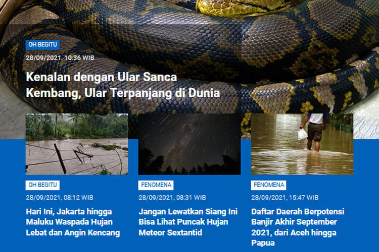 Tangkapan layar berita populer Sains sepanjang Selasa (28/9/2021) hingga (29/9/2021). Serba-serbi ular sanca, ular terpanjang di dunia hingga daftar daerah berpotensi banjir di akhir September ini.
