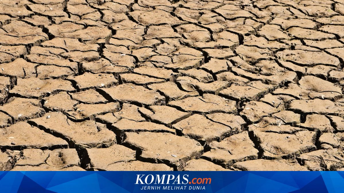 BMKG: El Nino Kuat Berdampak ke Samarinda, Warga Diimbau Hemat Air
