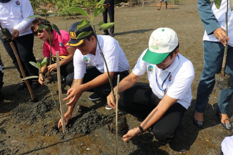 PT Indofood Tbk Divisi Bogasari melakukan penanaman 1.000 tanaman mangrove di pinggiran pesisir Pantai Marunda.