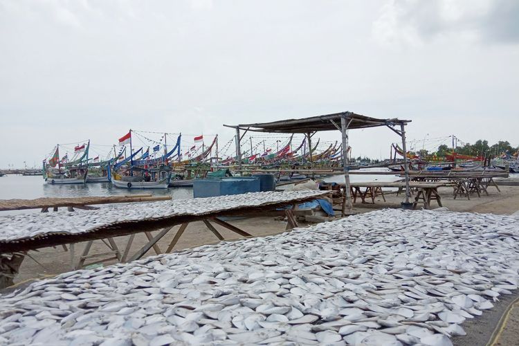 Nelayan di Bangkalan Kesulitan Dapat Solar, Terpaksa Beli Harga Tinggi di Pengecer 