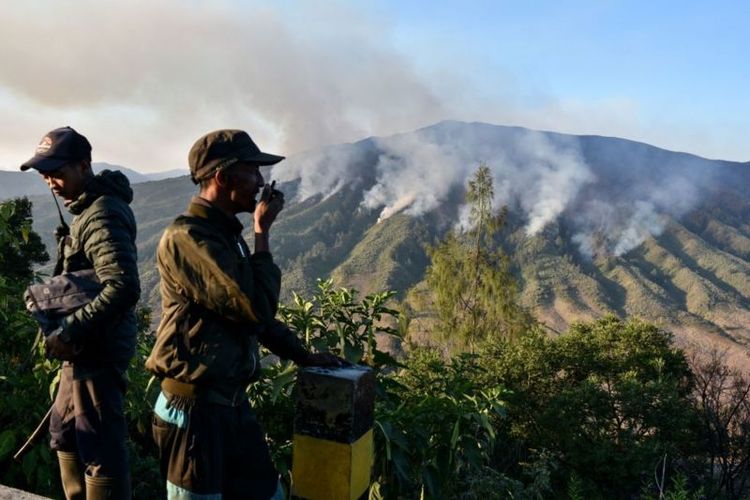 Petugas memantau kebakaran di kawasan Taman Nasional Bromo Tengger Semeru, Jawa Timur, pada 9 September 2023. Kebakaran terjadi sejak 17 Agustus 2023.
