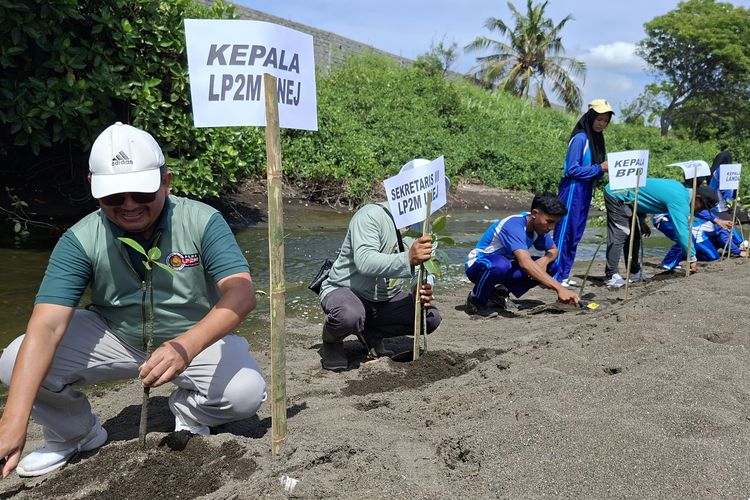 Foto: Tanam mangrove di Pantai Batu Tanjung Landangan Situbondo Provinsi Jawa Timur pada Rabu (19/11/2025).