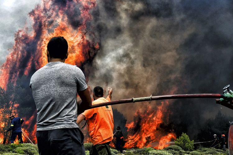 Para sukarelawan dan petugas pemadam kebakaran berusaha mengendalikan api yang melalap kawasan hutan di sebuah desa tak jauh dari kota Athena, Yunani pada 24 Juli 2018.