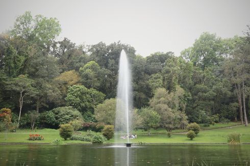 6 Tempat Menarik di Kebun Raya Cibodas, Ada Taman Sakura