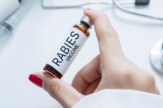 Berstatus KLB Rabies, Sikka Kehabisan Vaksin Hewan Penular Rabies