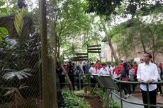 Jokowi Kunjungi Kebun Binatang Ragunan
