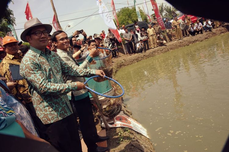 Gubernur Jawa Barat Ridwan Kamil saat meluncurkan program e-fishery di Indramayu, beberapa waktu lalu.